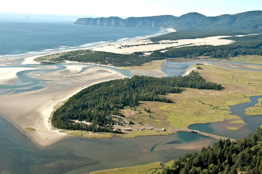 An Overhead View Sitka Sedge Near Inn at Cape Kiwanda