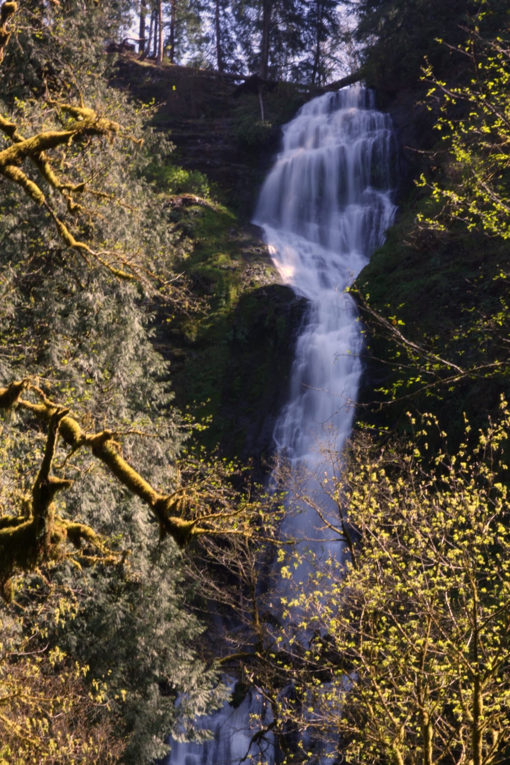 Munson Creek Falls near Inn at Cape Kiwanda