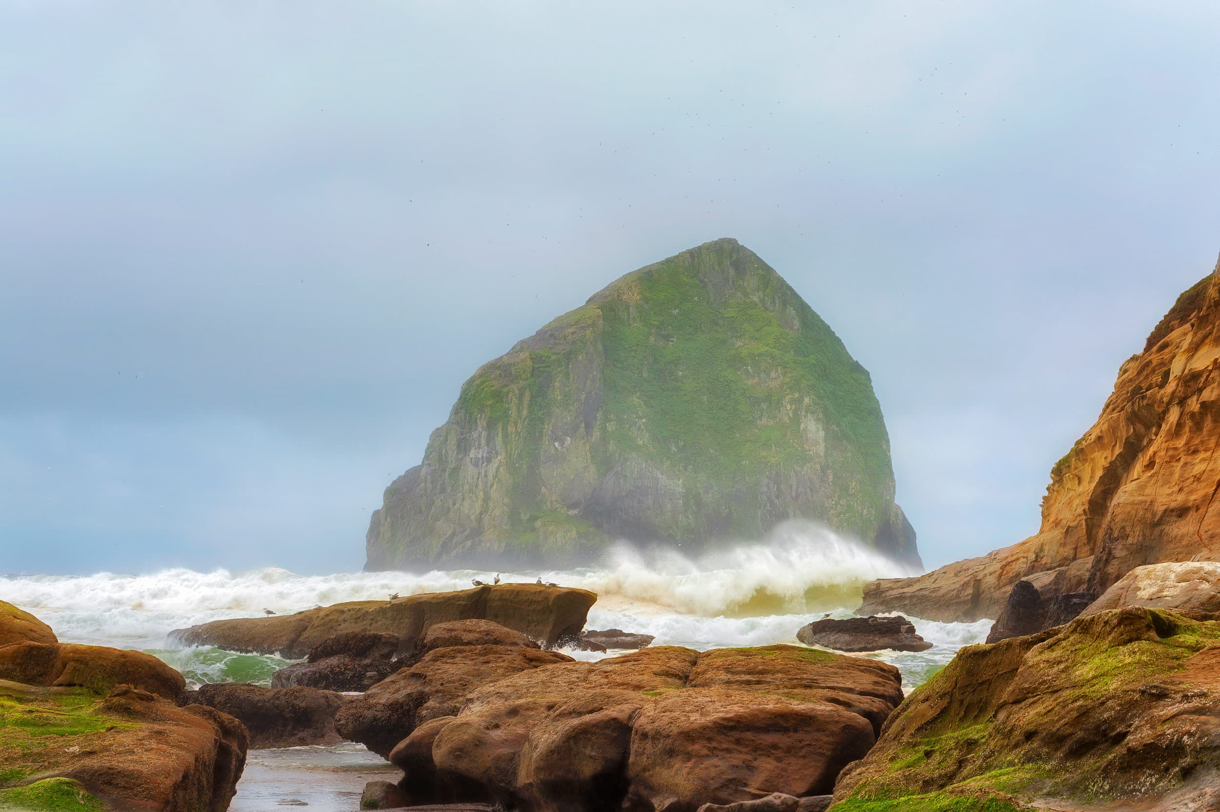Haystack Rock In The Fog