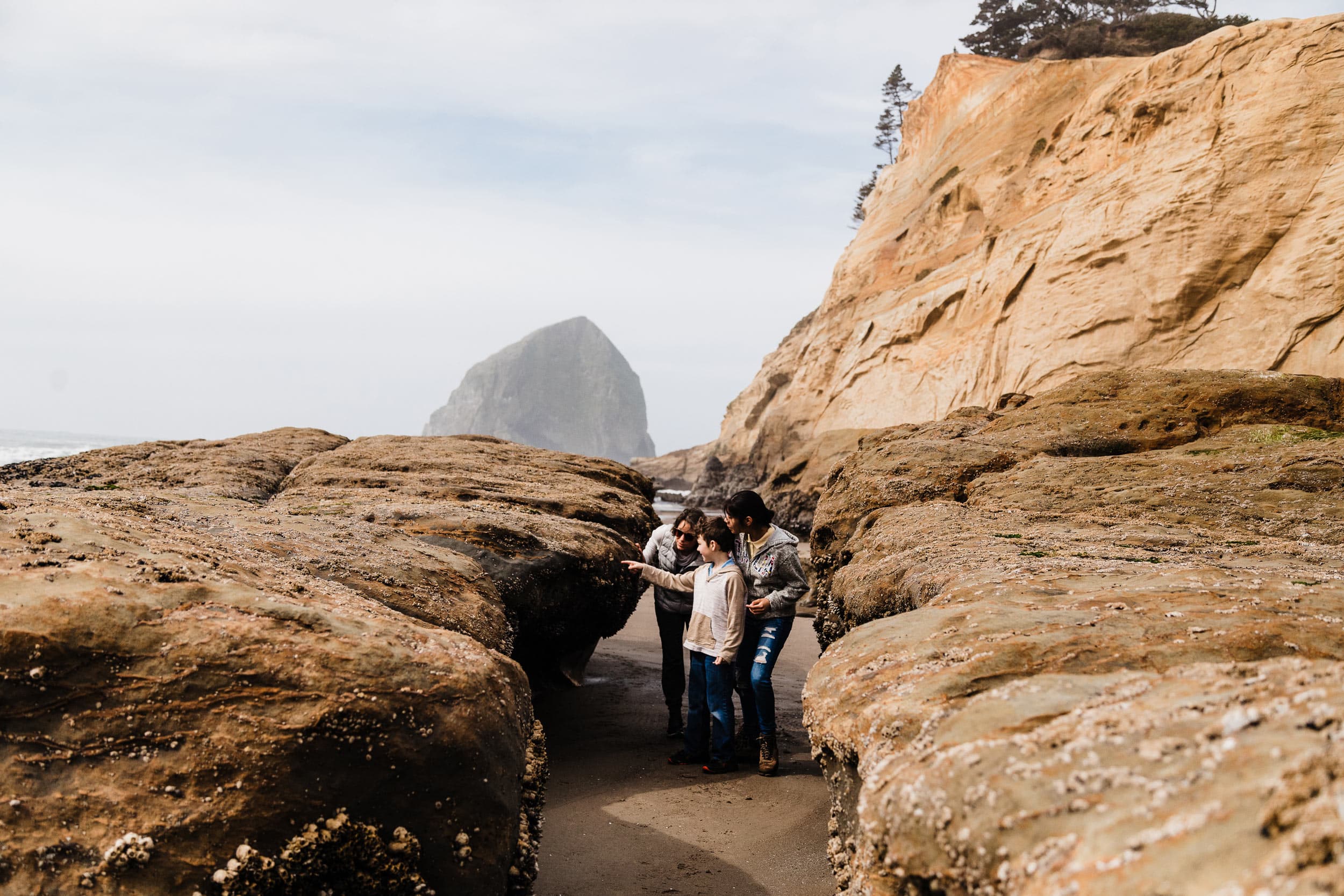 Tidepools In Oregon