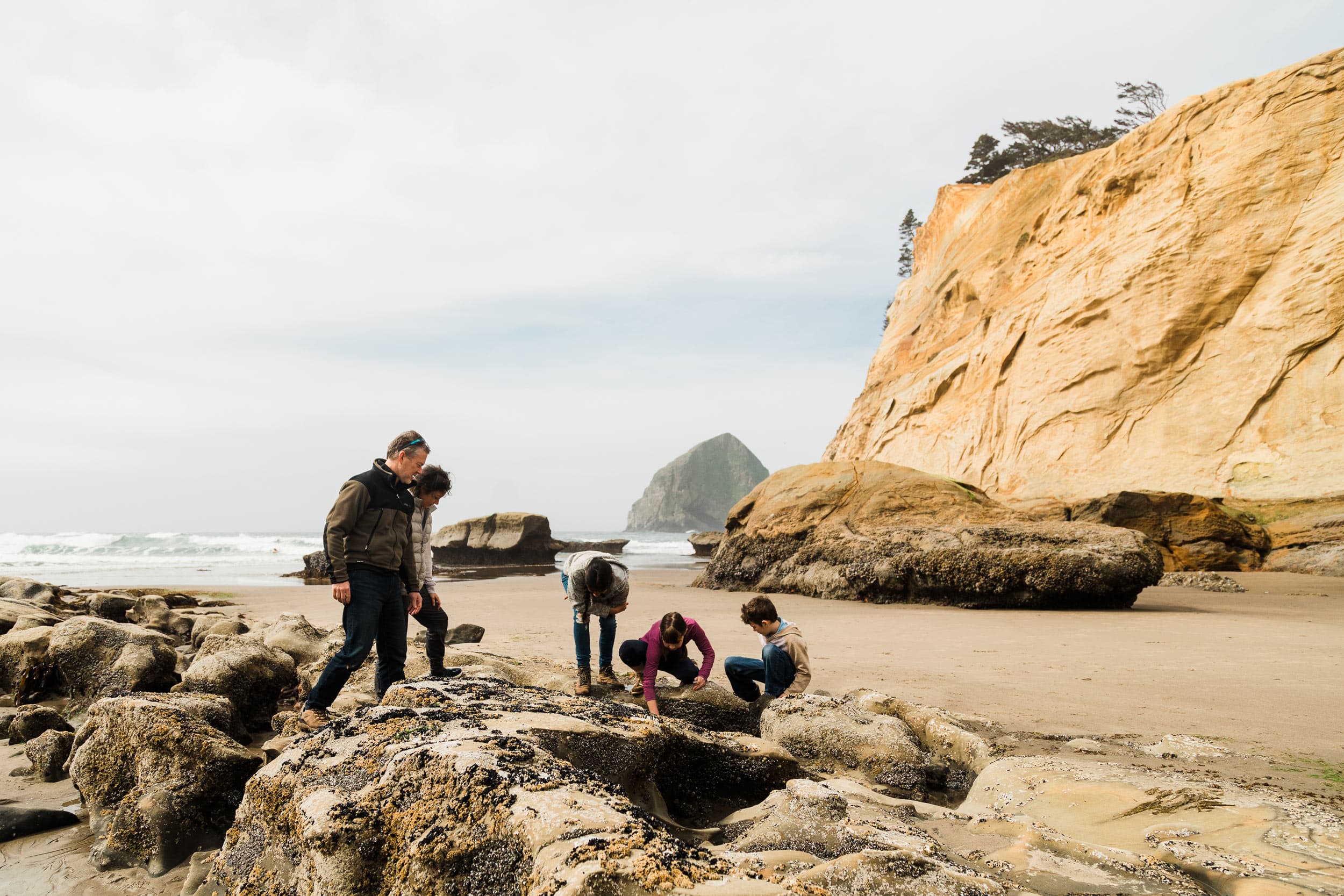 Family Exploring Tidepools