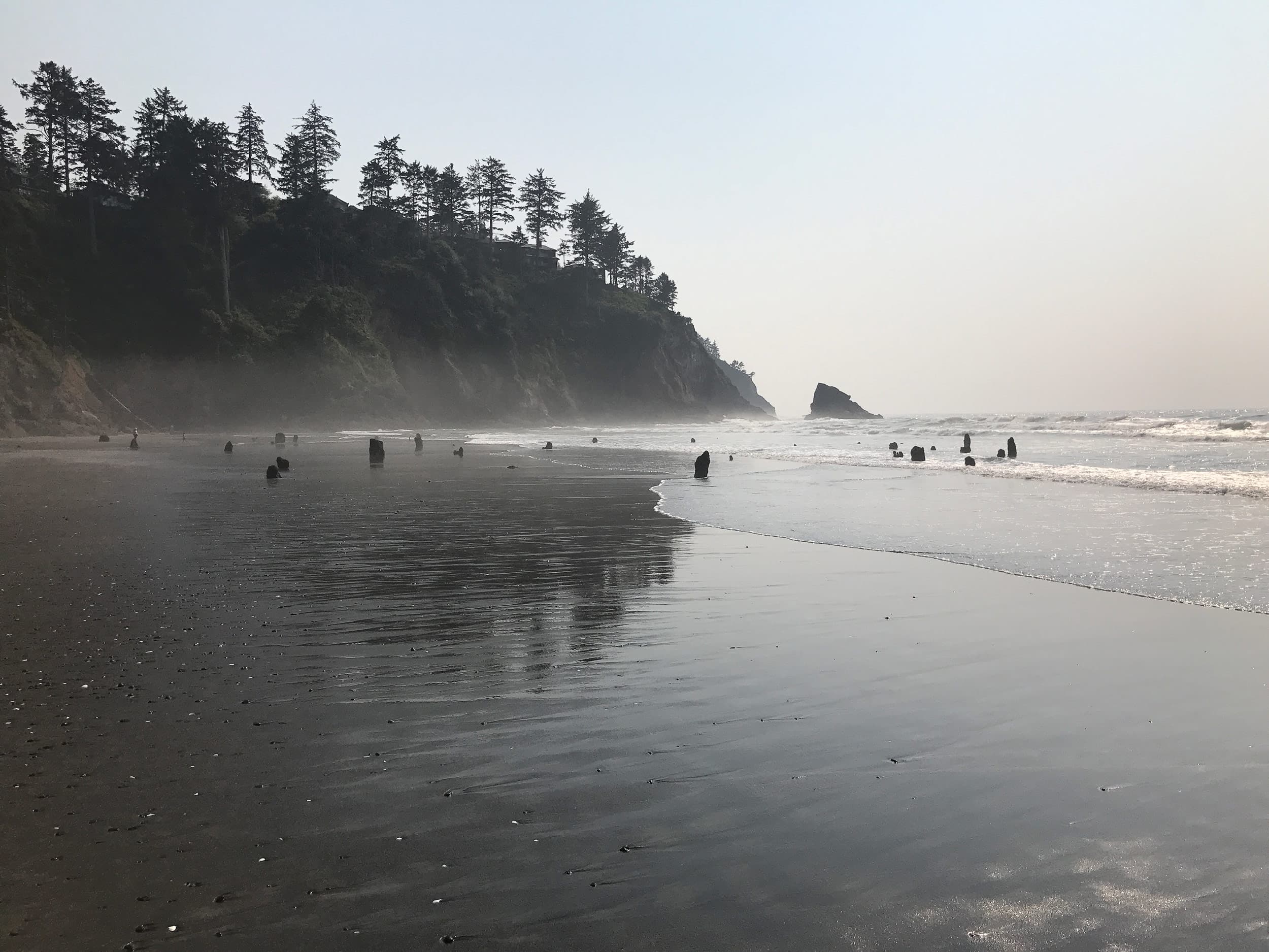 A misty beach with calm waves and smooth wet sand reflecting the sky. Tree-covered cliffs extend into the ocean, creating a serene, tranquil scene.
