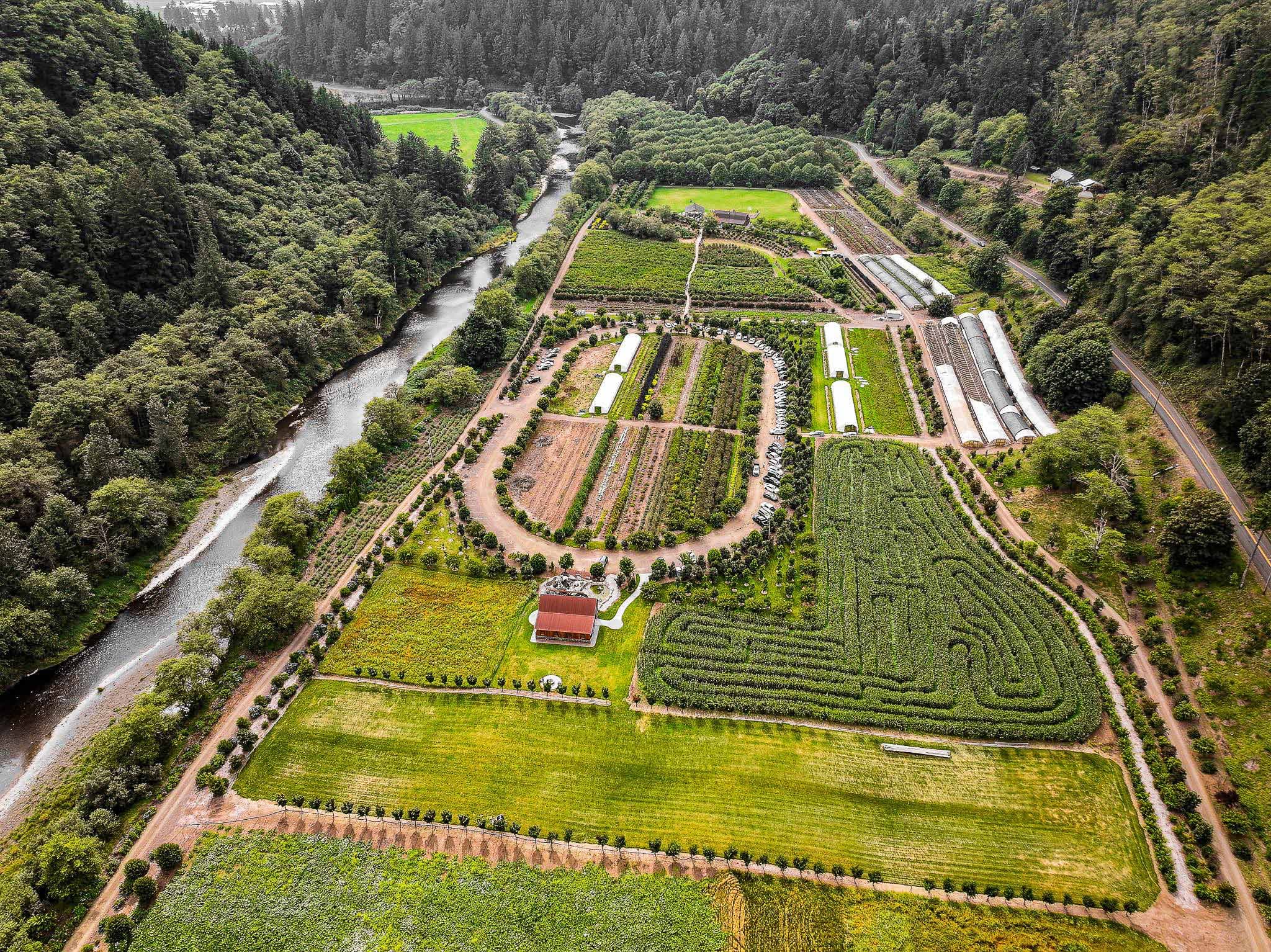 Aerial view of a lush farm with fields, crops, a corn maze, and a red-roofed building. A river runs along the left, bordered by dense trees, conveying tranquility.