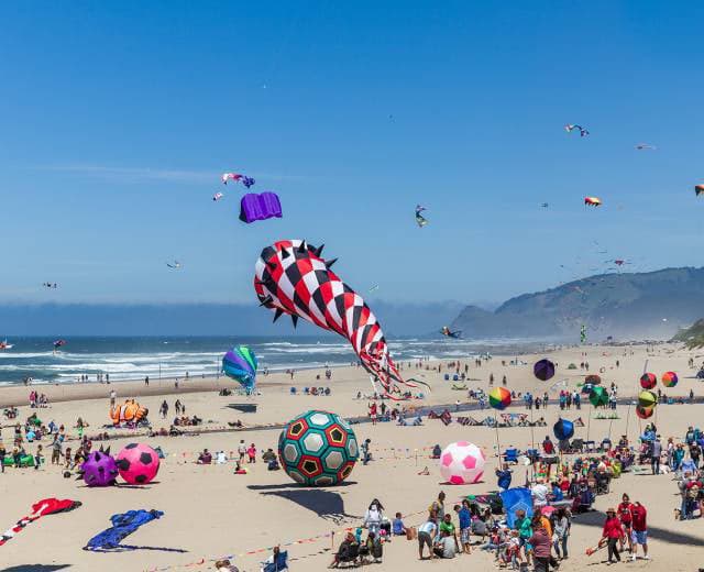Kites On The Oregon Beach