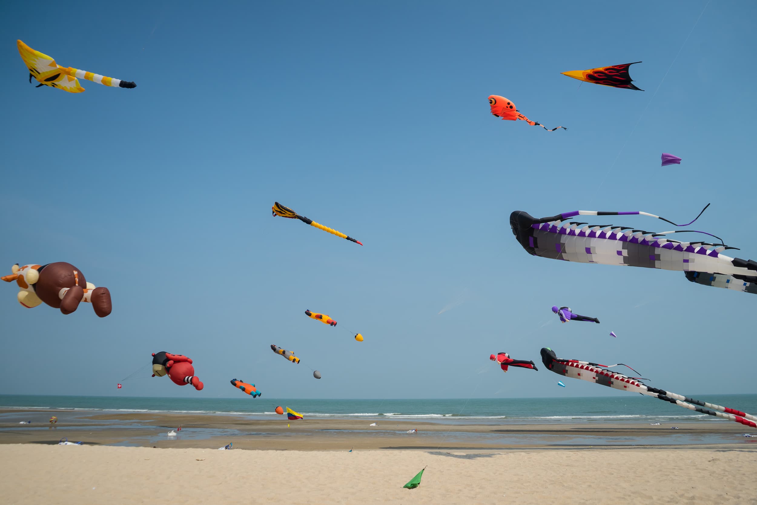Kites Flying