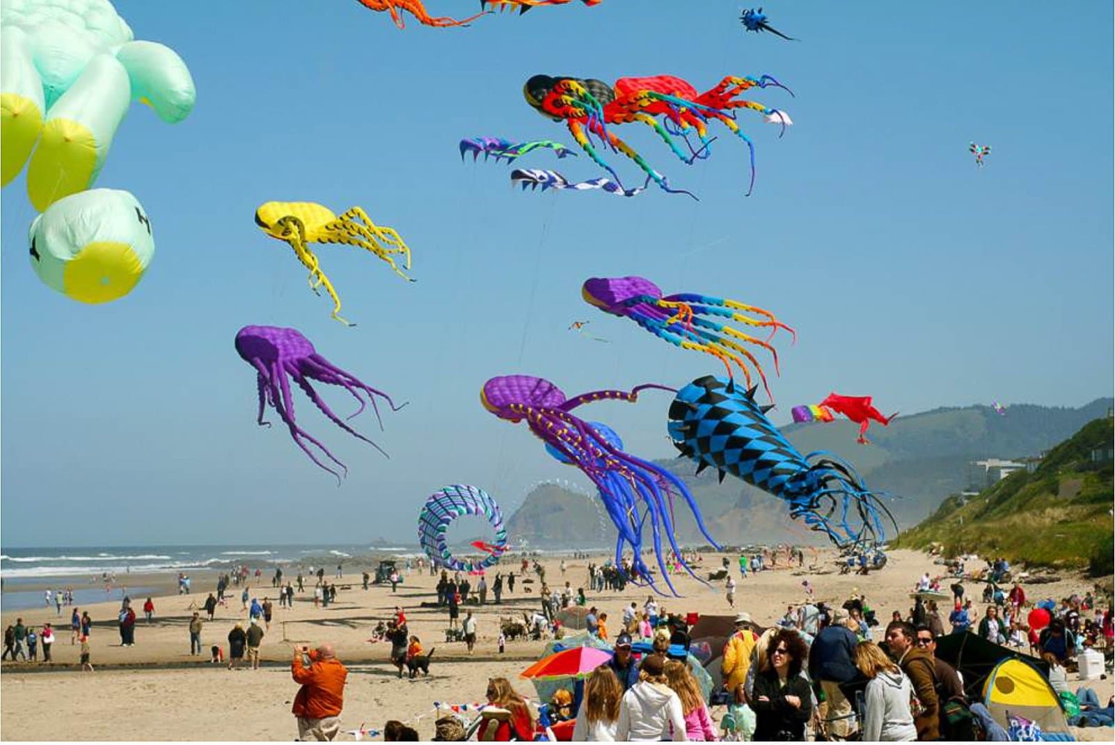 Kites In Pacific City Oregon