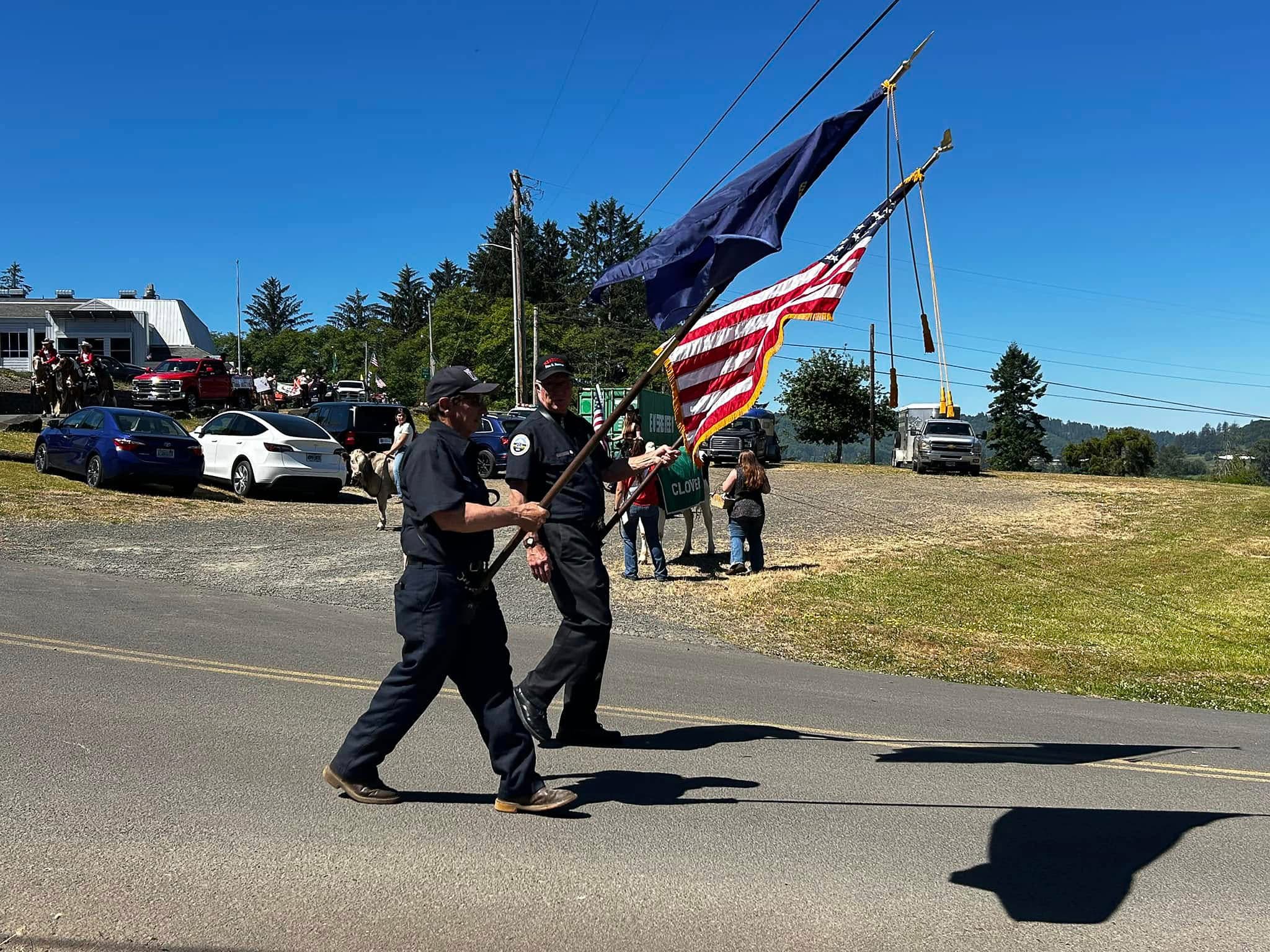 Flags In A Parade