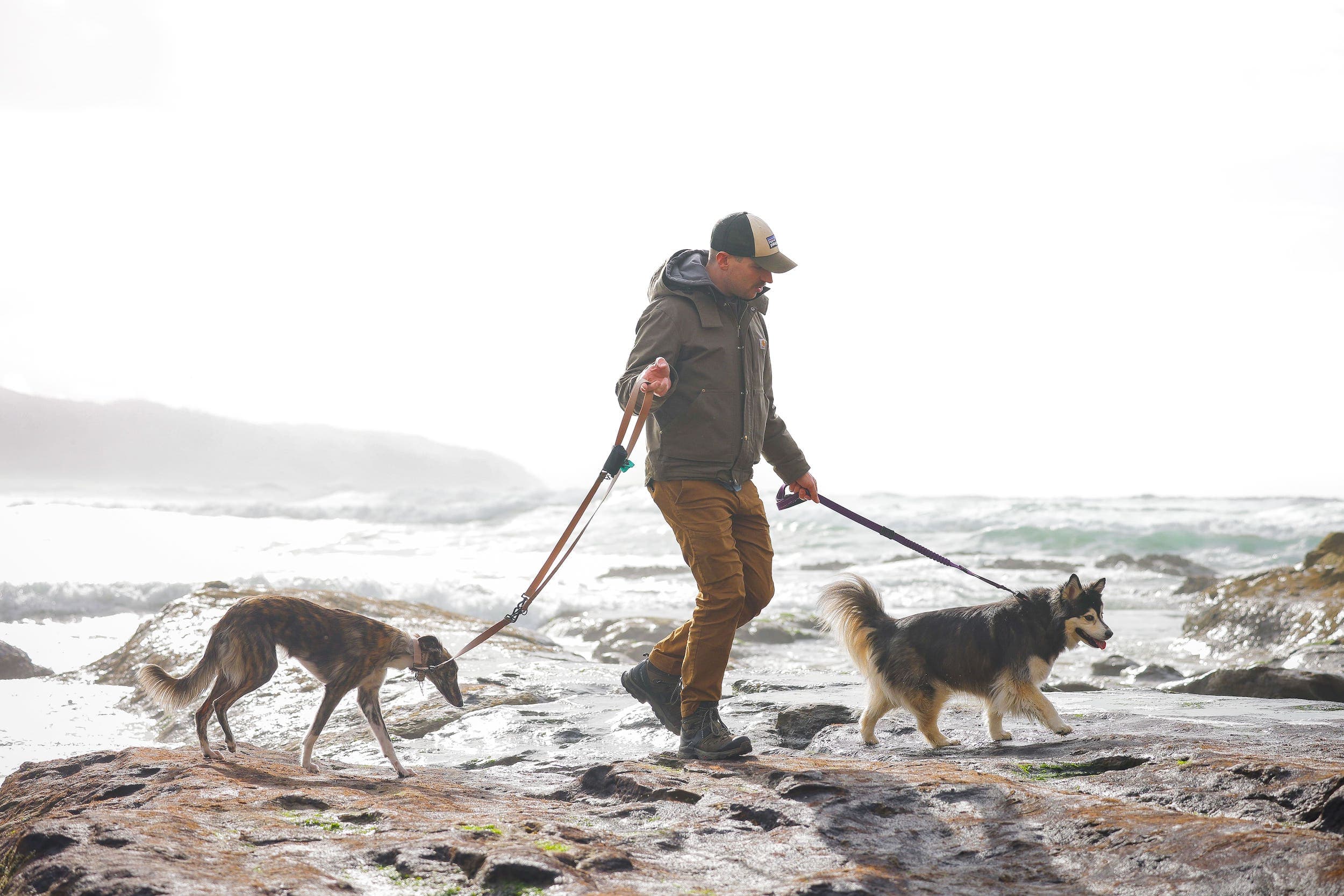 A man walking 2 dogs on the tide pools at Cape Kiwanda