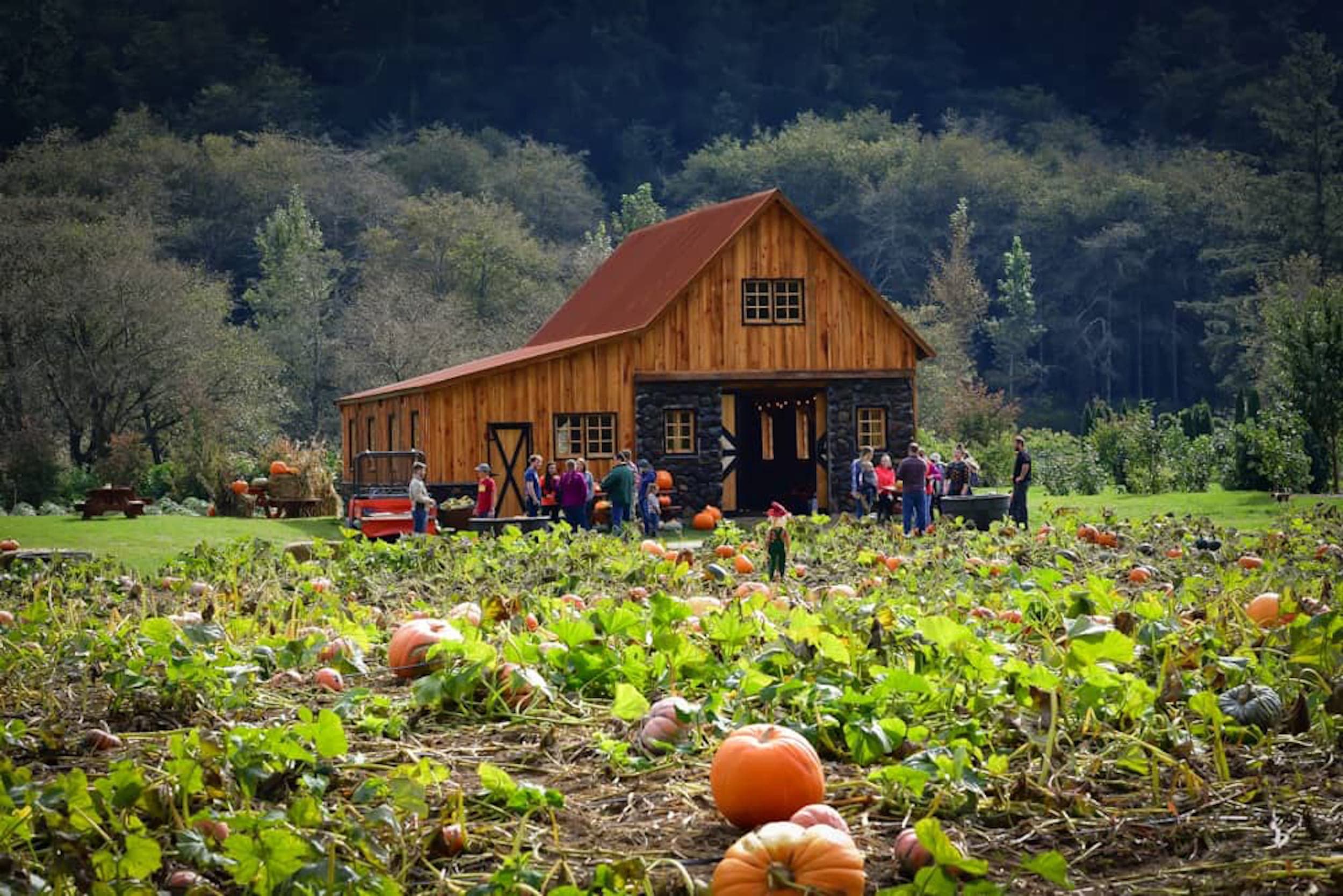 A group of people at Kilchis River Pumpkin Patch