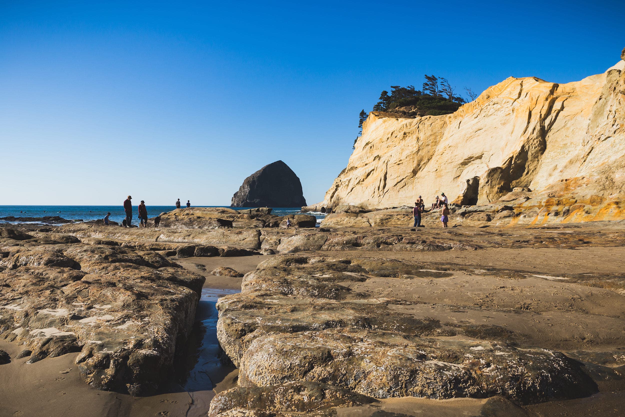 A bunch of people walking around the ocean floor when the tide is out on the Pacific coast