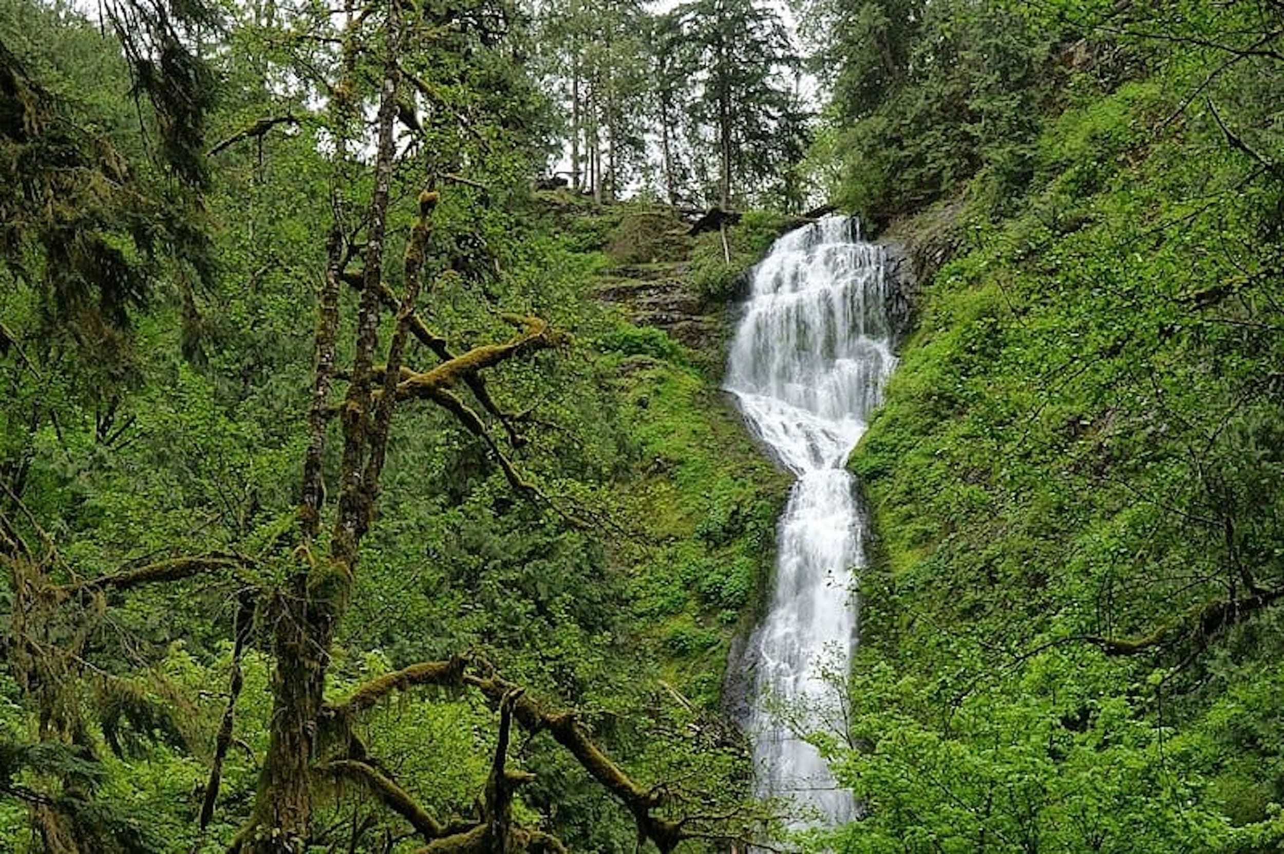 A waterfall at Munson Creek Falls State Natural Site