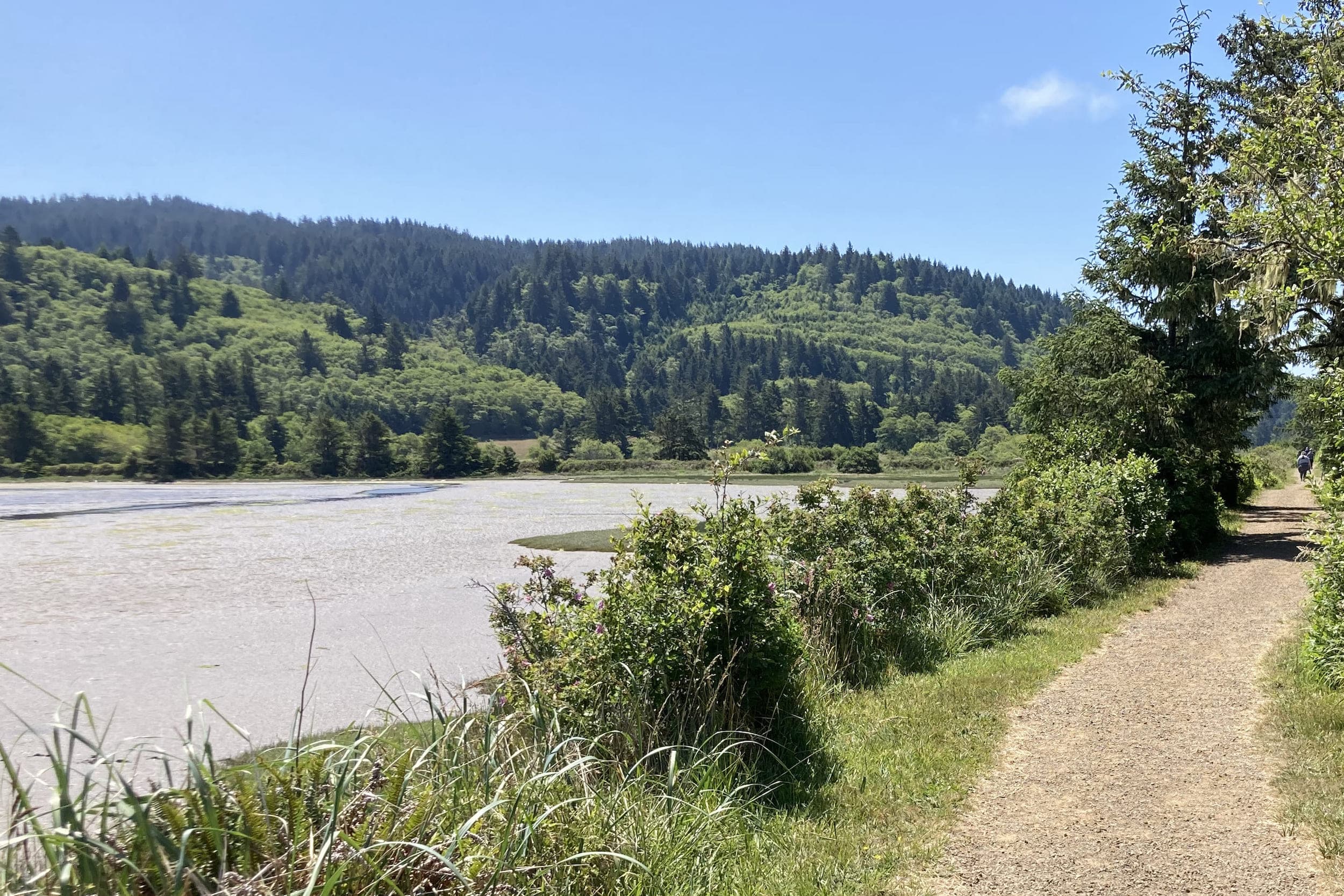 Sitka Sedge Trail alongside a river near Inn at Cape Kiwanda