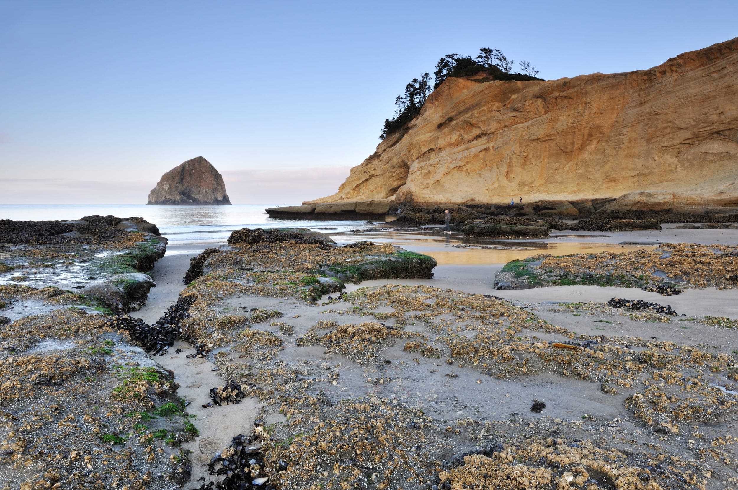 The ocean rock bed at Inn at Cape Kiwanda when the tide is out