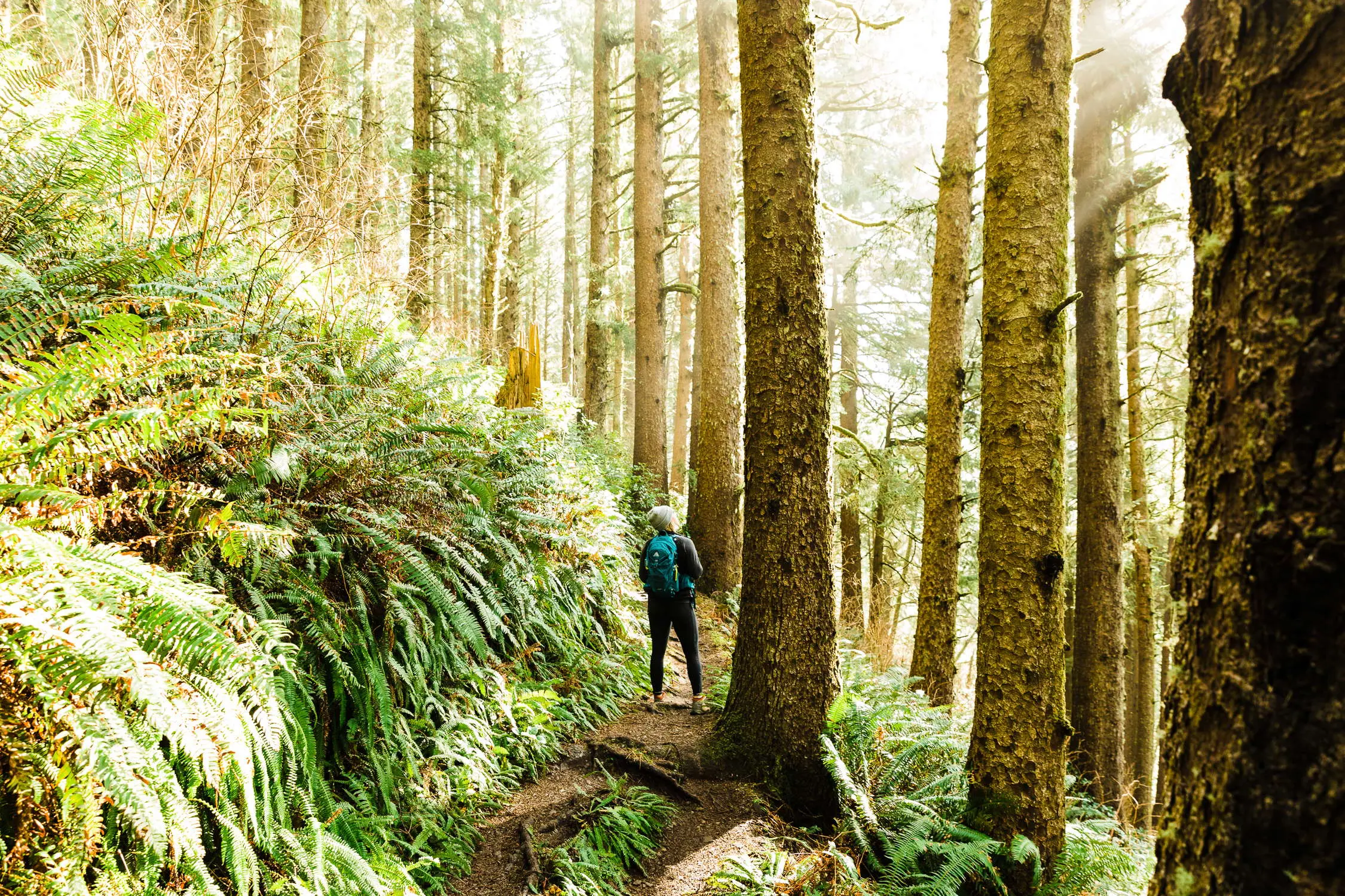 Hiker on a sunlit coastal forest trail in Pacific City, near the Inn at Cape Kiwanda on the Oregon Coast.